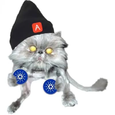 Cardano bag