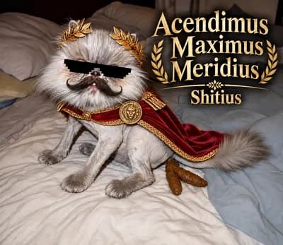 Acendimus Maximus